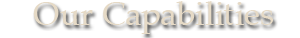 Our Capabilities